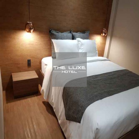 Phòng Suite chuẩn giường đôi có quạt